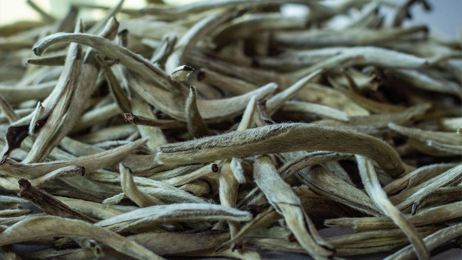 Ancient Shan Tea Vietnam: A Journey into Heritage and Flavor - TDG Tea