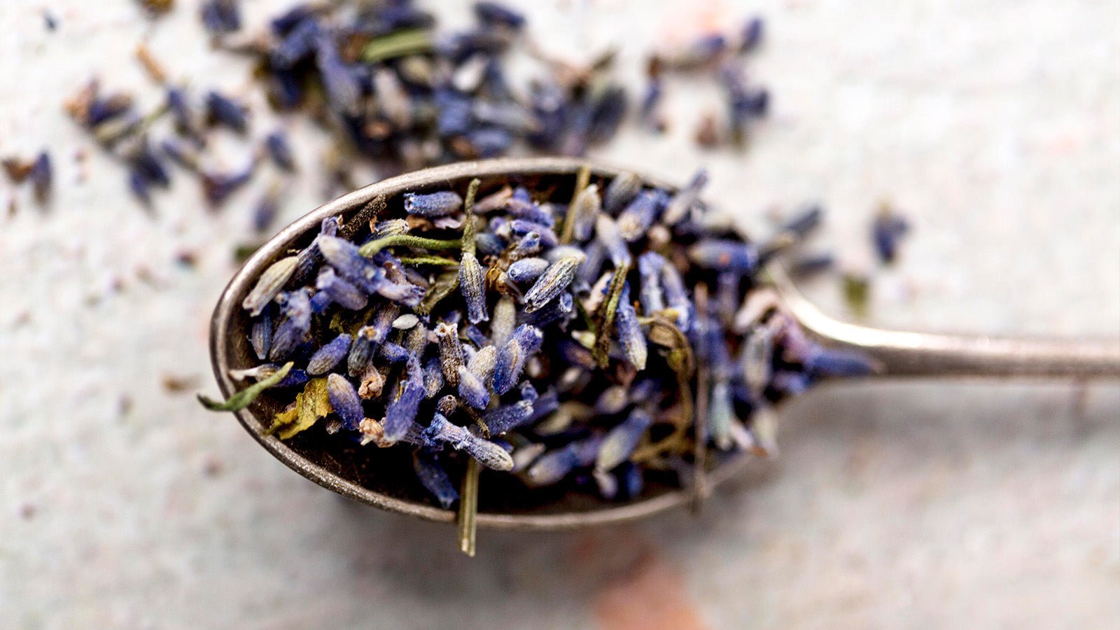 Lavender Tea: Natural Relaxation and Wellness in Every Sip - TDG Tea