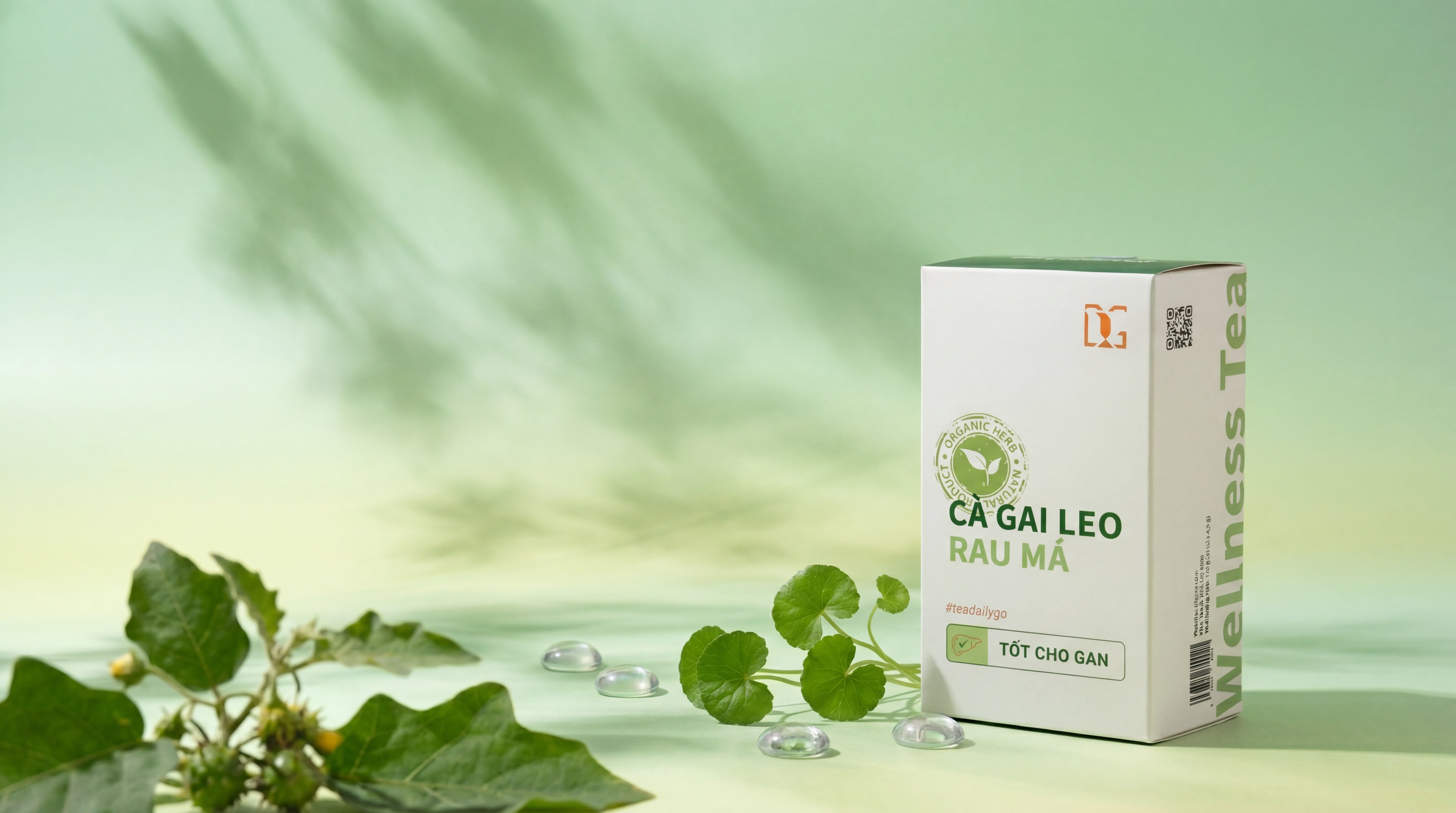 Vì sao Cà Gai Leo Rau Má là sản phẩm bán chạy nhất của Tâm Đạo? - TDG Tea