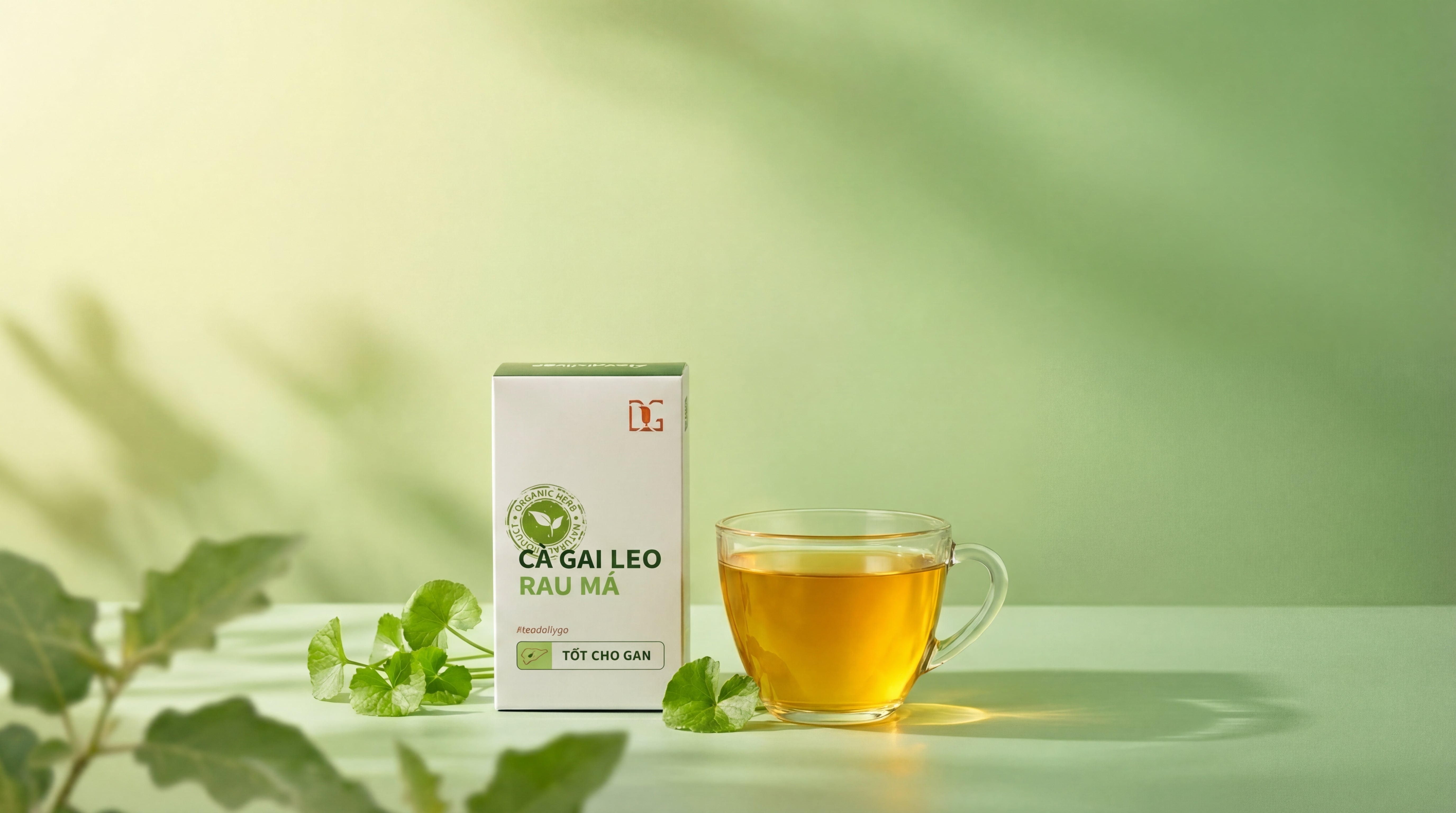 3 phút giúp giải rượu sau bữa nhậu - TDG Tea