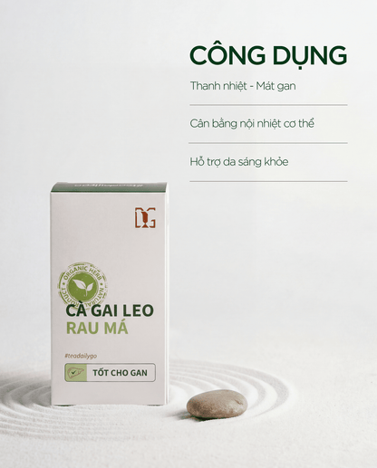 [Combo Mua 2 tăng 1] CÀ GAI LEO RAU MÁ - TDG Tea