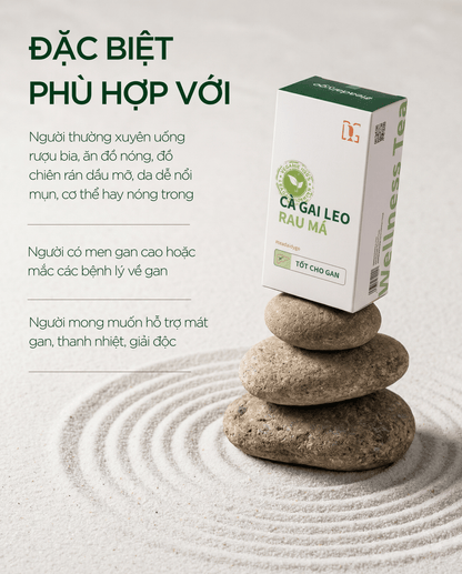 [Combo Mua 5 Tặng 3] CÀ GAI LEO RAU MÁ - TDG Tea