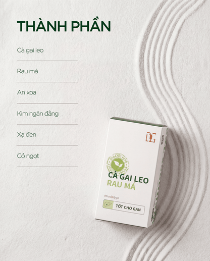 [Combo Mua 5 Tặng 3] CÀ GAI LEO RAU MÁ - TDG Tea