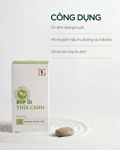 Trà Búp Ổi Thìa Canh TDG - TDG Tea